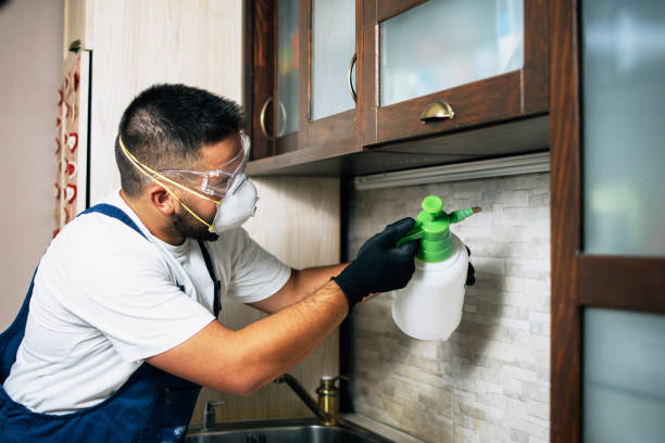 Best Residential Pest Control  in Watertown Town, MA