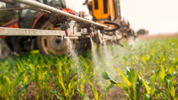 Pest Control Cost in Watertown Town, MA